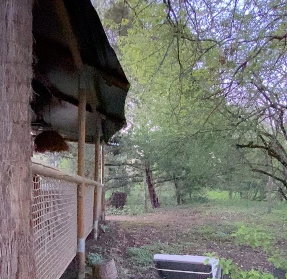 Ecolodge Beauregard Treigny Kültér fotó