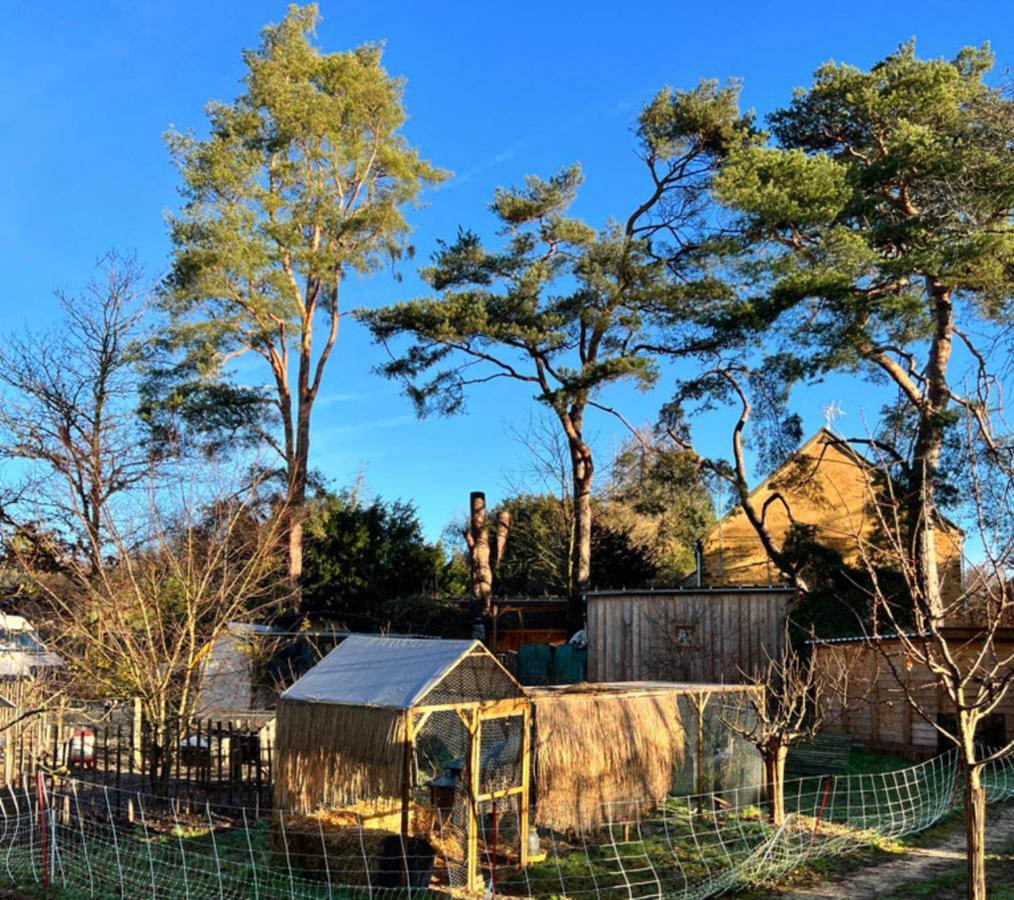 Ecolodge Beauregard Treigny Kültér fotó