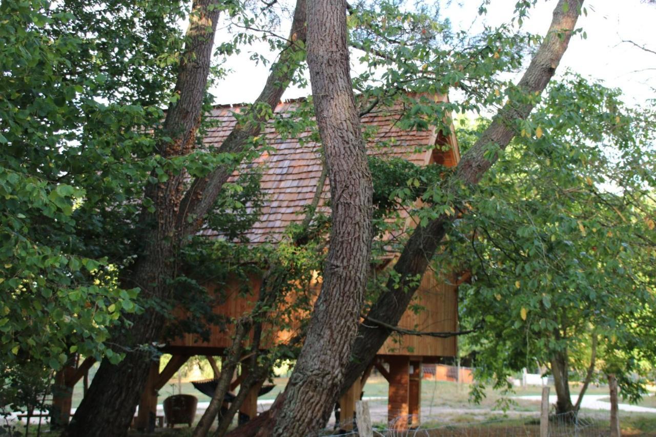Ecolodge Beauregard Treigny Kültér fotó