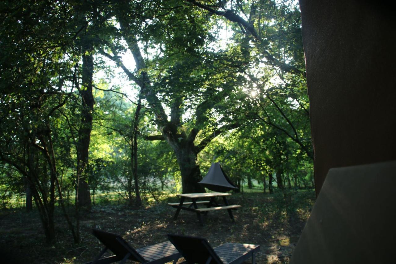 Ecolodge Beauregard Treigny Kültér fotó