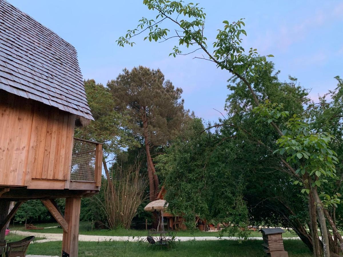 Ecolodge Beauregard Treigny Kültér fotó